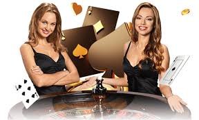 333bet30